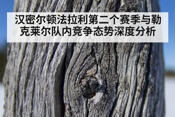汉密尔顿法拉利第二个赛季与勒克莱尔队内竞争态势深度分析
